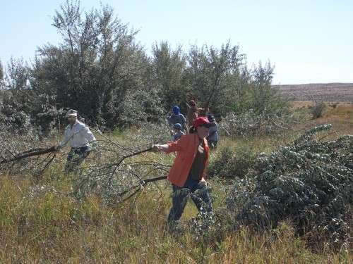 Phase II-Clearing Land