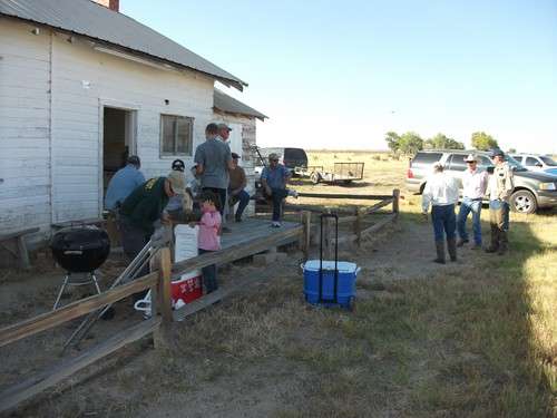 BBQ after the Work
