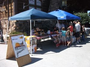 Bass Pro Brat Sale